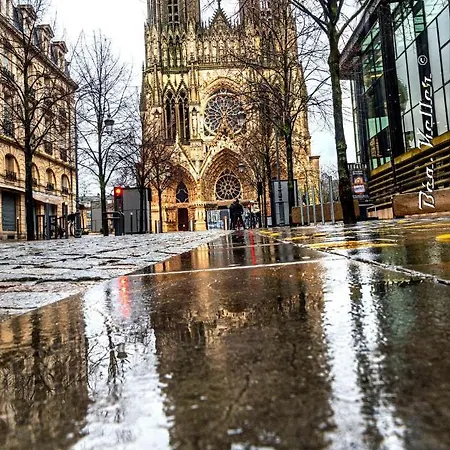 Fortel Clairmarais *